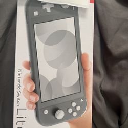 Nintendo Lite