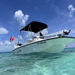 2013 Boston Whaler 17 Dauntless
