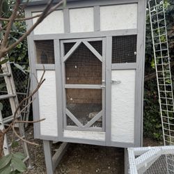 Pigeon kitbox