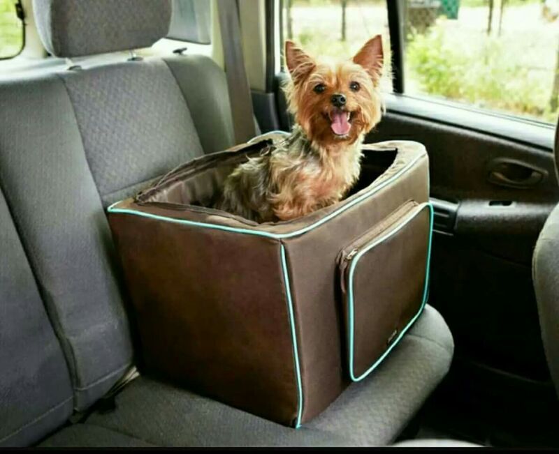 Martha Stewart dog booster seat