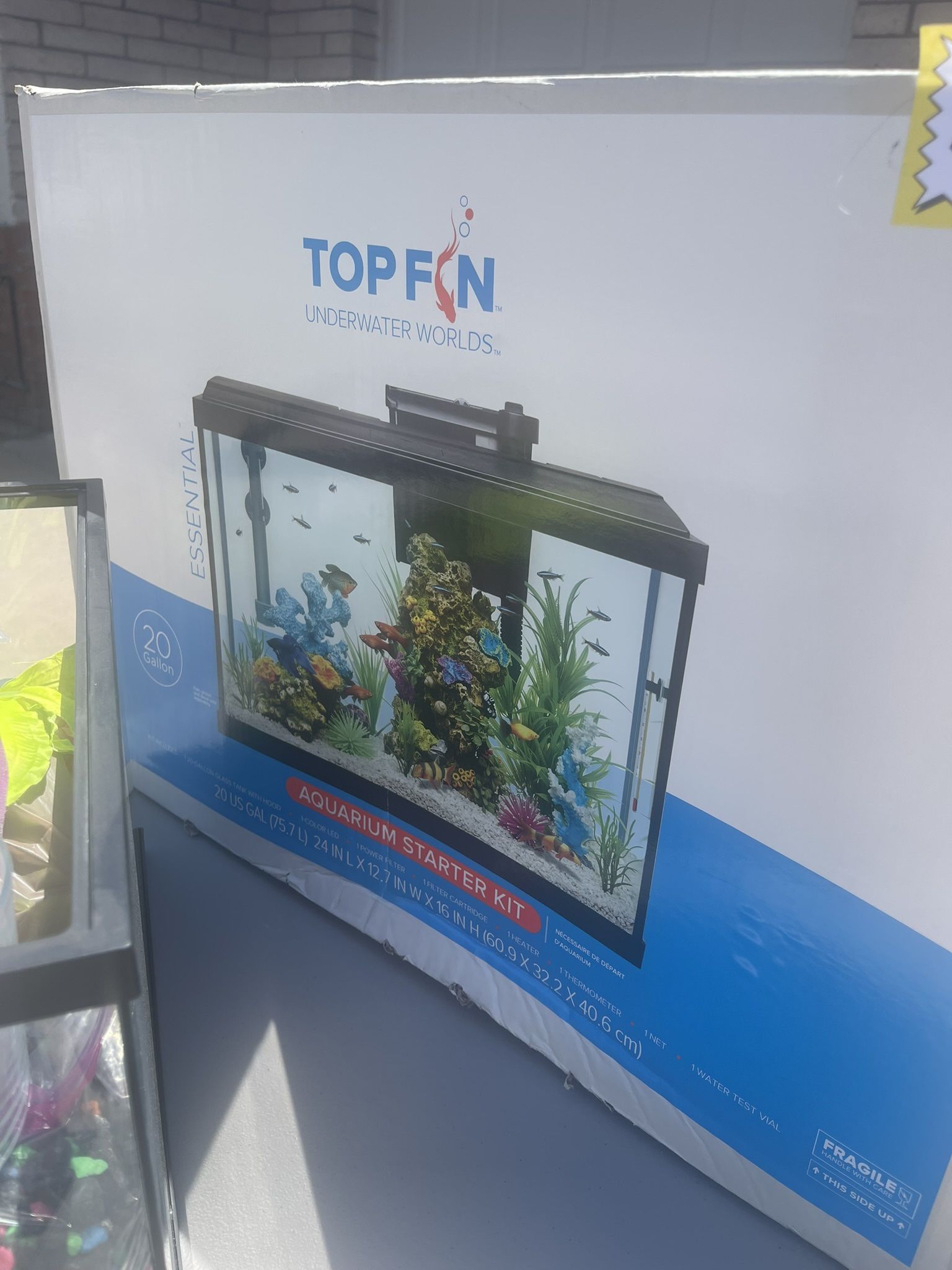 20 Gallon Fish Tank