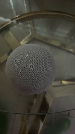 alexa echo dot speaker