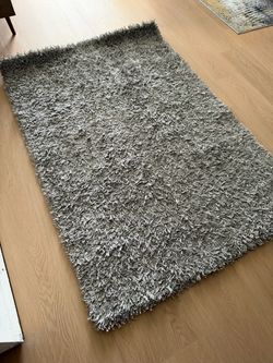 Gray Shag Area Rug