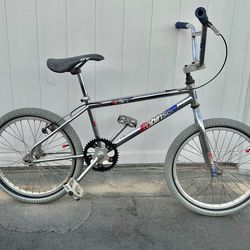 Old School 1990s Robinson BMX (20 Inch)