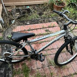Roadmaster 24”