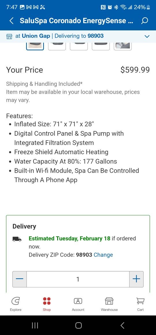 Saluspa Inflatable Hottub