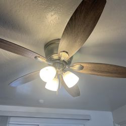 Ceiling Fan Like New