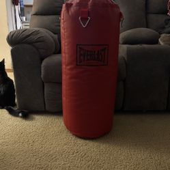 Everlast Punching Bag