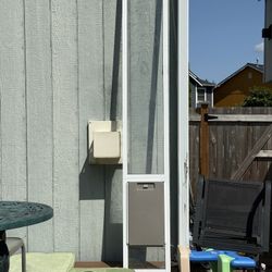Dog Door 
