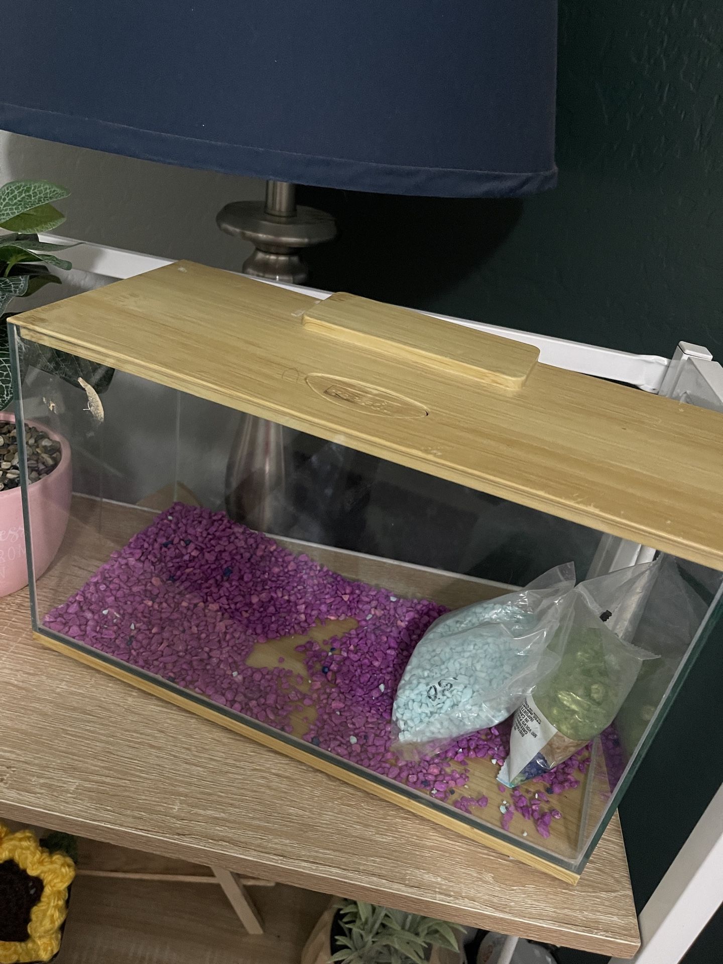 Small Fish Tank