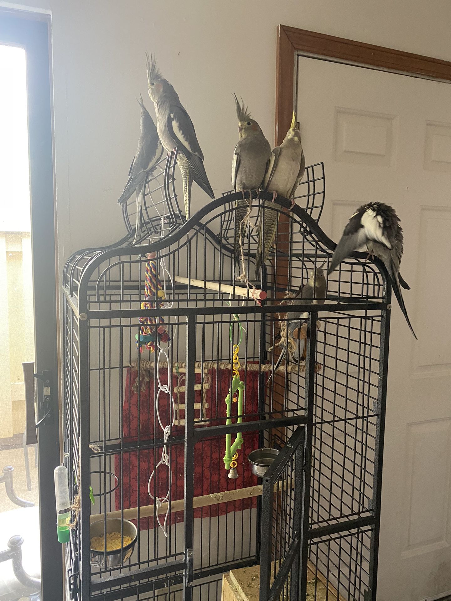 Cage With Stand 