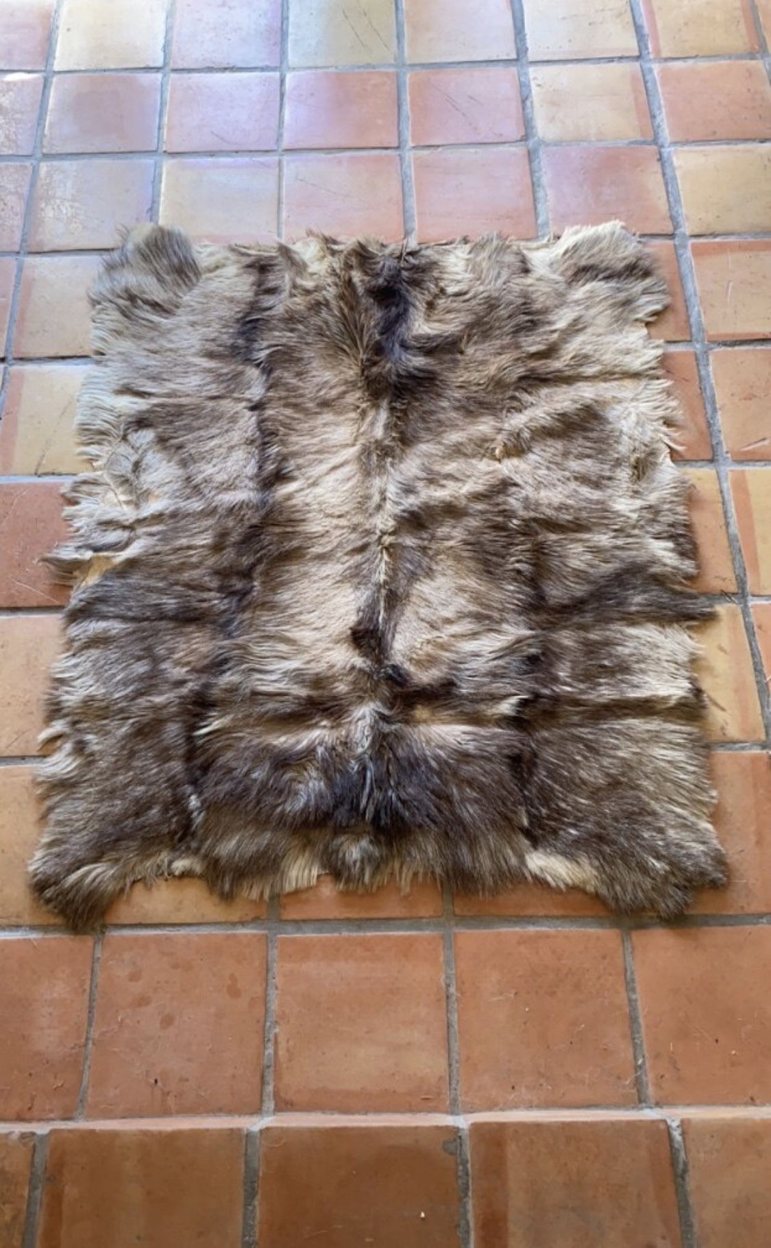 Wolf skin wall hanging