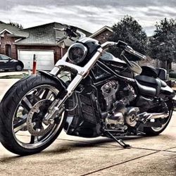 Harley Davidson VRod Muscle Custom
