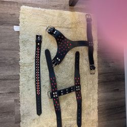Custom made Ruby and Silver Stud Dog Harness And Large Dog Collar