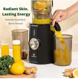 LINKChef Cold Press Juicer 4.53"