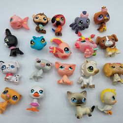 Sale pet cheap shop