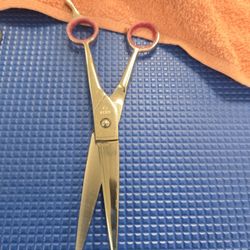 Professional Grooming Shears