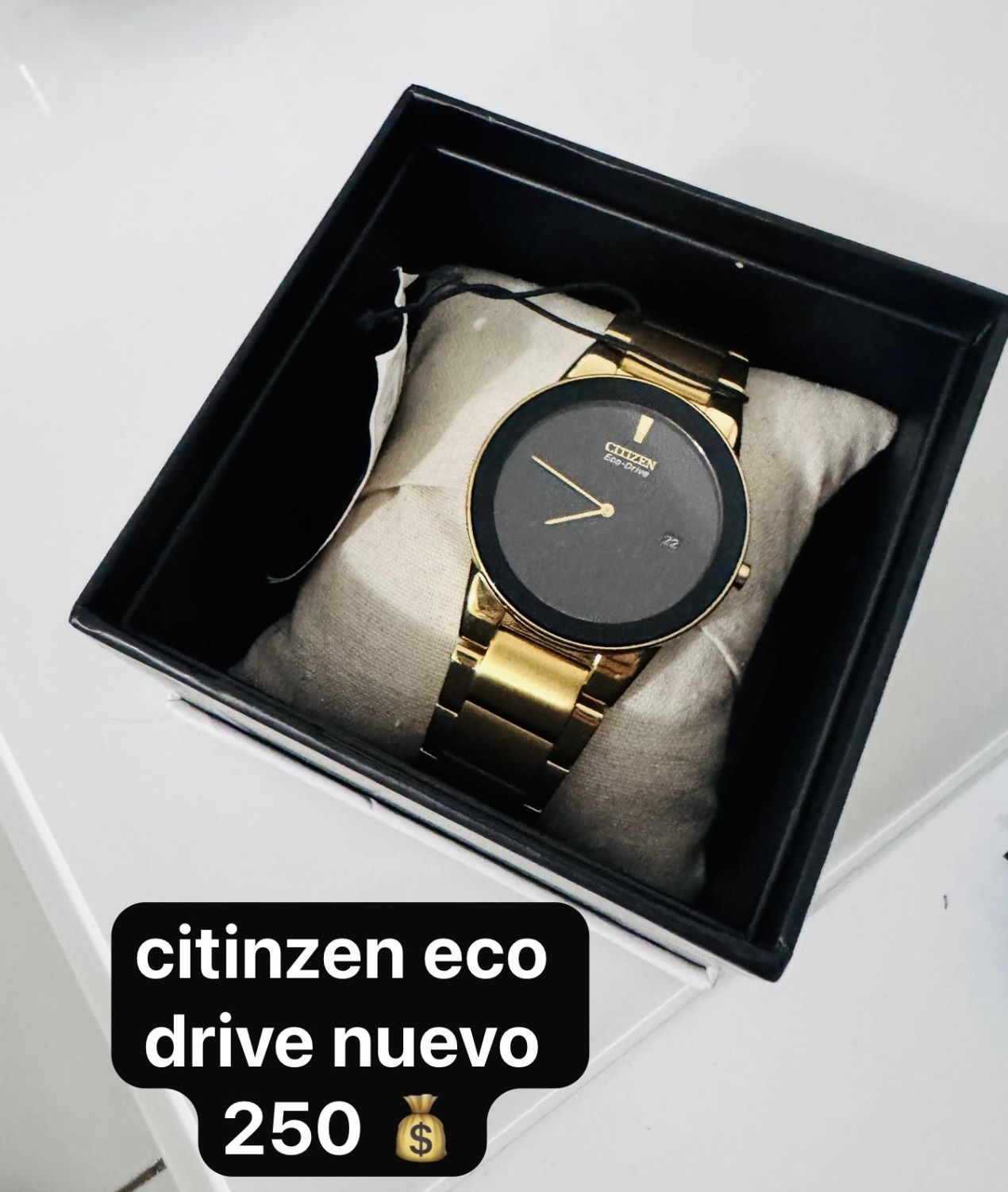 Reloj Citinzen Eco