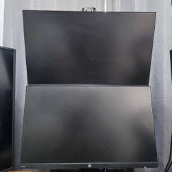 HP N246v Full HD (1920 x 1080) Monitor