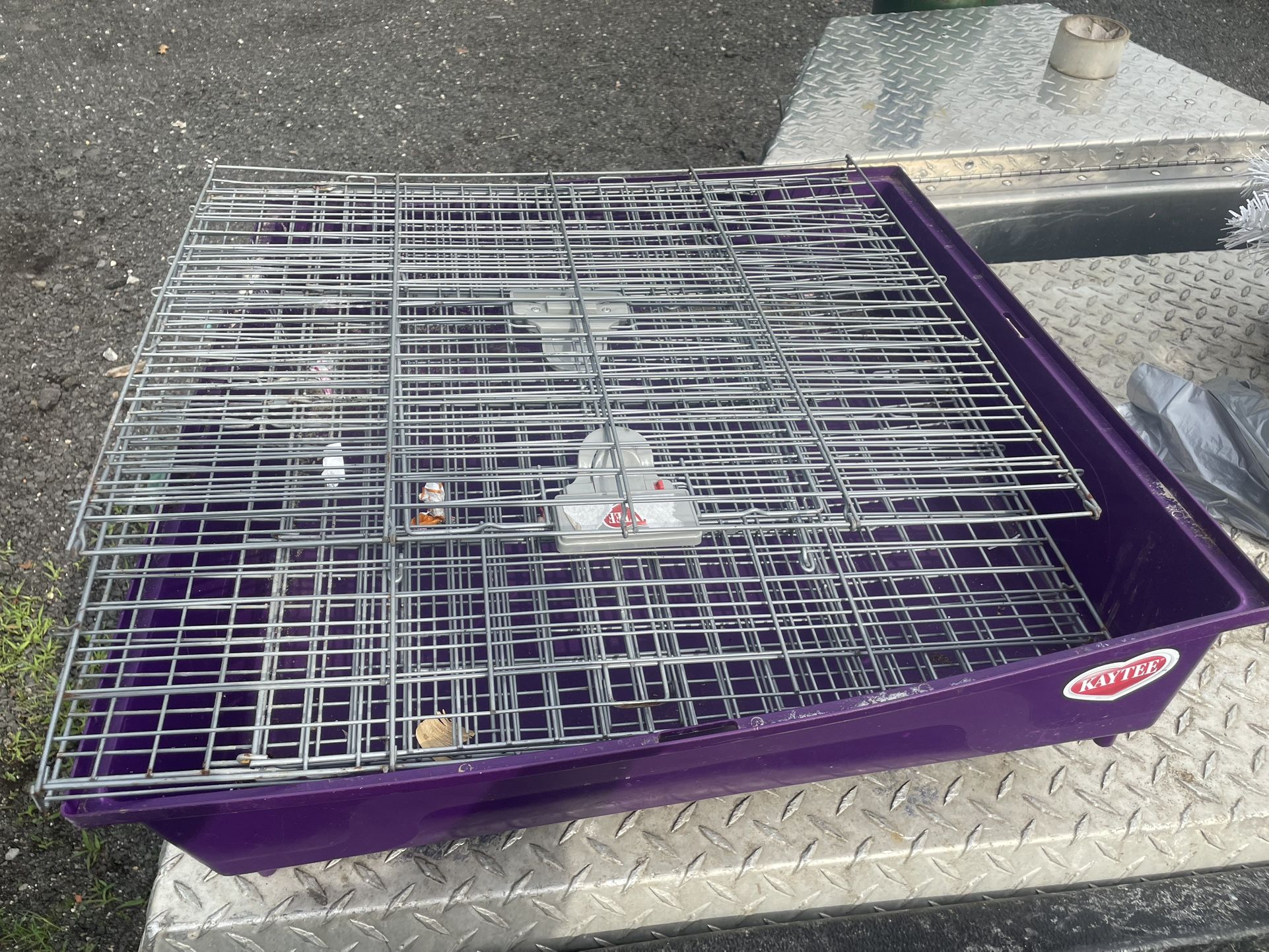 Guinea Pig Cage