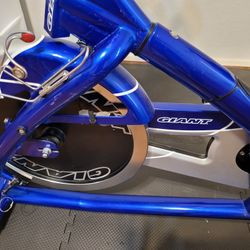Great condition! Giant Stationary Bike
