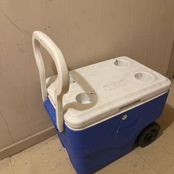 Coleman Ice Cooler
