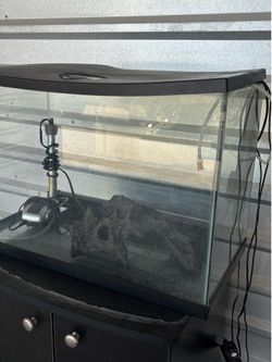 20 gallon rimless fish tank
