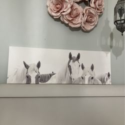 Large Long Horse Picture 