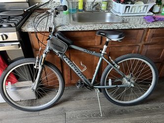 Raleigh . American Bike