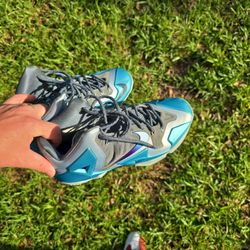 Lebron james Soldier 11