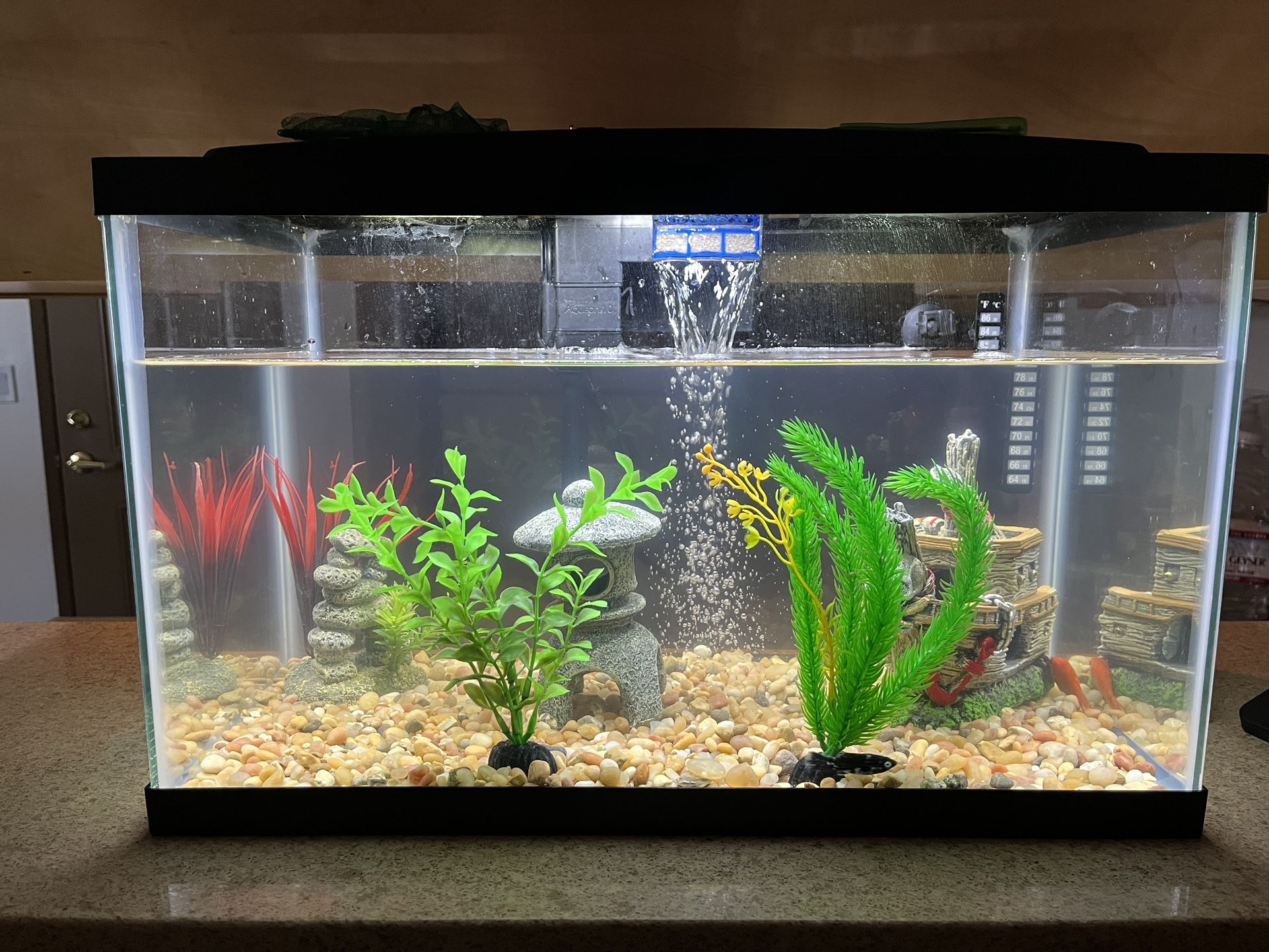 8-10 Gallon Fish Tank