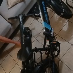 Lectric 3.0 Almost New Asking 800 