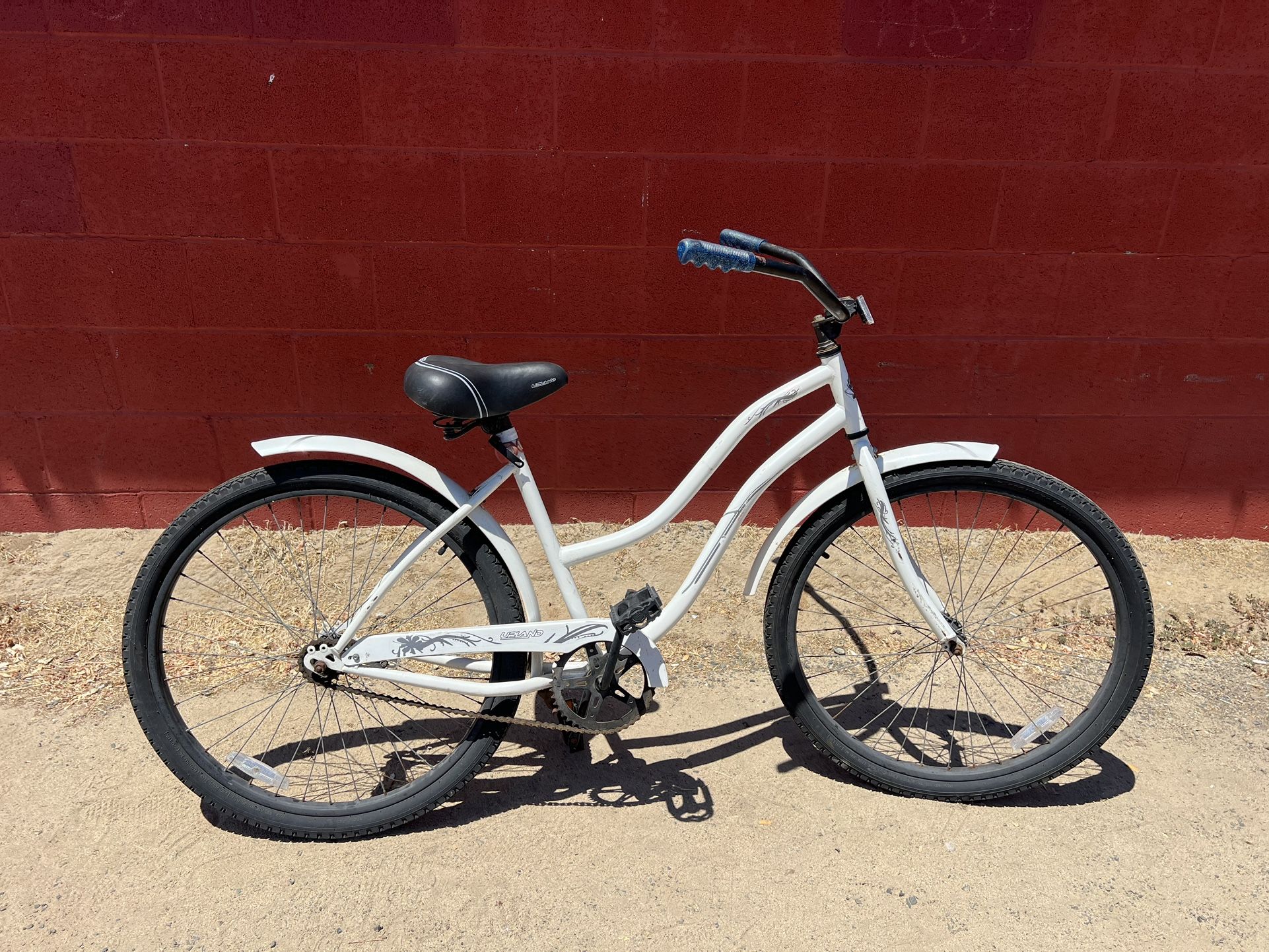 Beach Cruiser