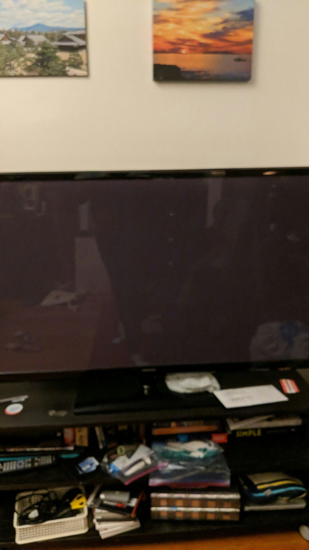 Samsung 51 inch plasma TV