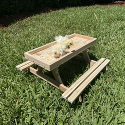 Chicknic Table Chicken Feeder