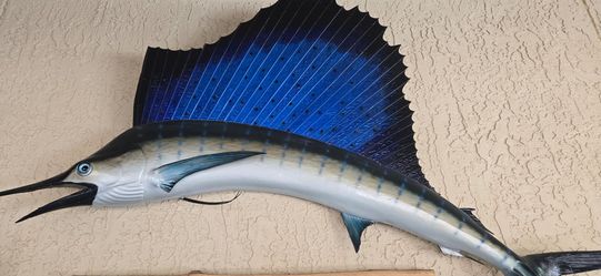 MOUNTED SUNFISH