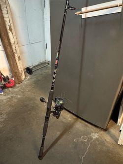 Rod and reel