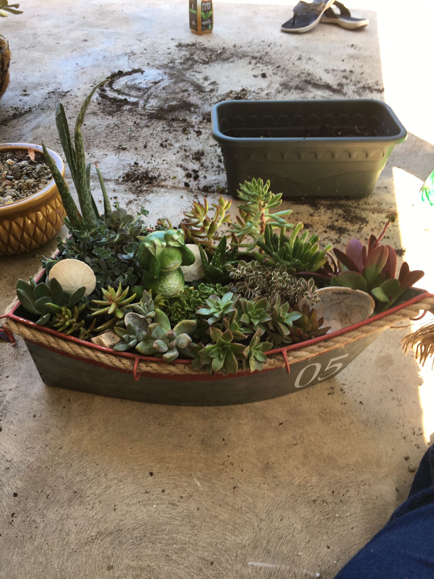 Succulent boat planter pot
