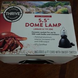 5.5"dome Lamp In Weeki Wachee Spring Hill