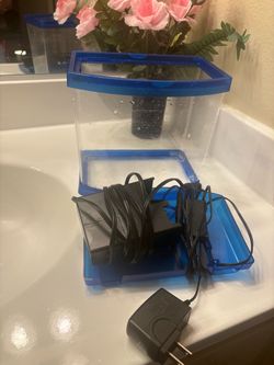 Fish tank with filter