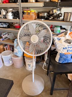Fan