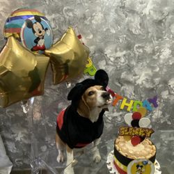 Mickey Mouse Dog Sweater 