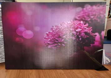 Canvas Pictures