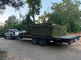 Grass sod