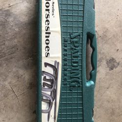 New Set Of Horseshoes