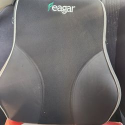 Feagar Lumbar Support Back Cushion