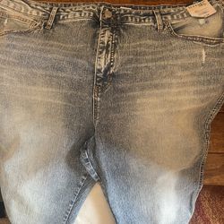 Distressed Blue Stretch Capri Jeans. See pictures. Size 24W