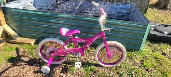 16" Girl's Bicycle w/ Training Wheels