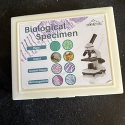 Prepared Slides For Microscope 