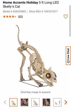 Halloween Skeleton Cat Skully family